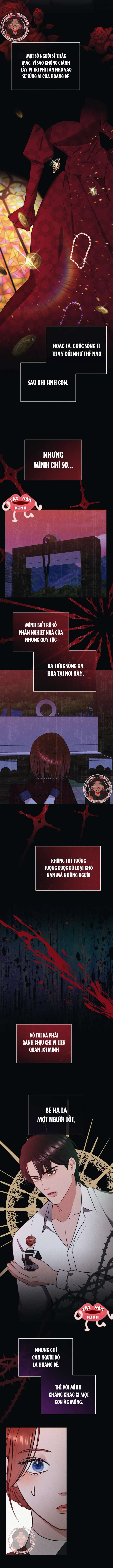 Tù Binh Trong Mơ Tù Binh Trong Mơ-Chap 14 - Next Tù Binh Trong Mơ-Chap 15