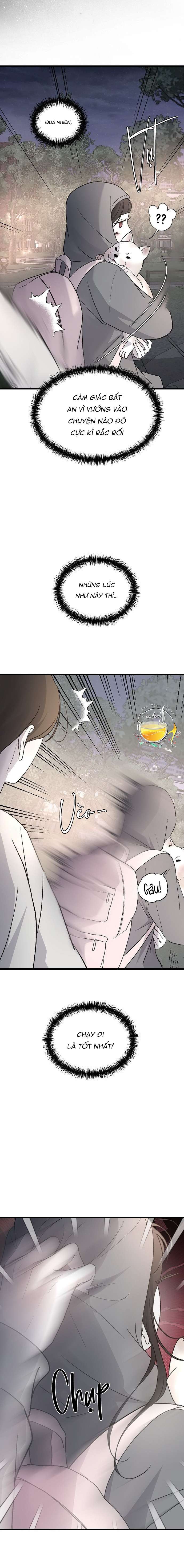 Ba Anh Trai Cực Phẩm Của Tôi Chap 99 - Trang 3