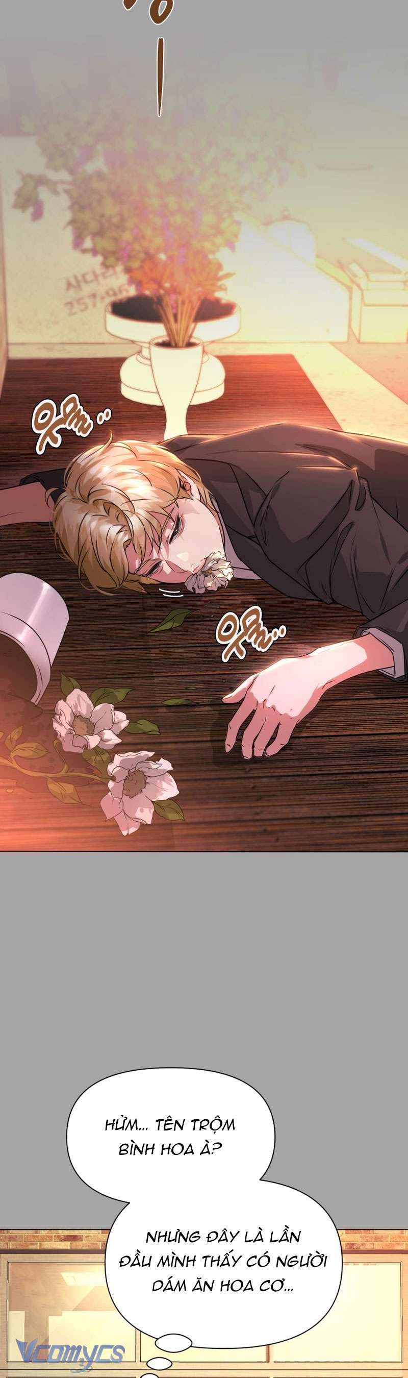 Chàng Romeo Của Chúng Ta Chap 3 - Trang 2