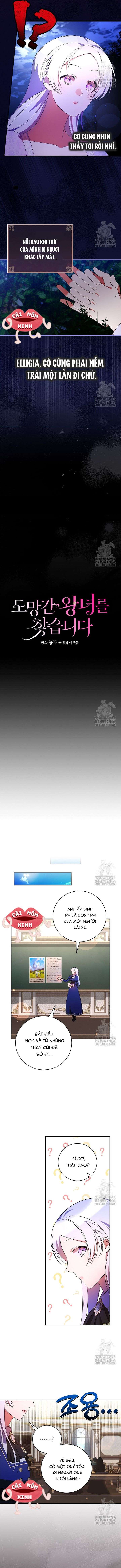 Đi Tìm Nàng Công Chúa Bỏ Trốn Chap 31 - Trang 4