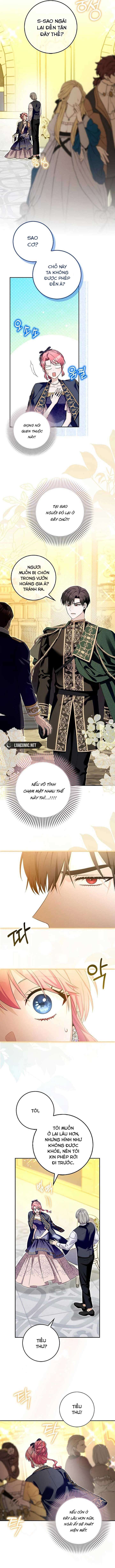 [END SS1] Hãy Cẩn Thận Với Người Đàn Ông Mạnh Nhất Đang Mê Muội Tôi Chap 28 - Next Chap 29