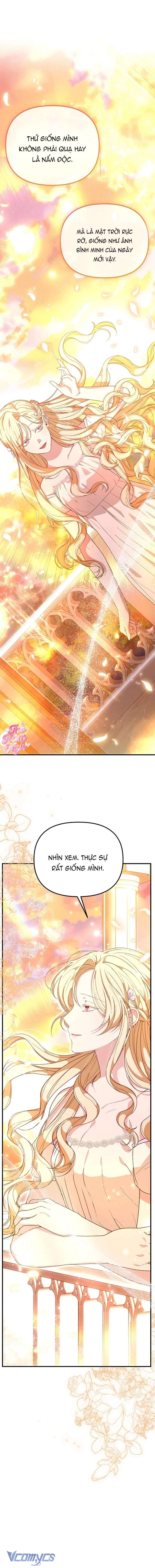 Tôi Không Thích Thể Loại Harem Ngược Này Chap 5 - Trang 4