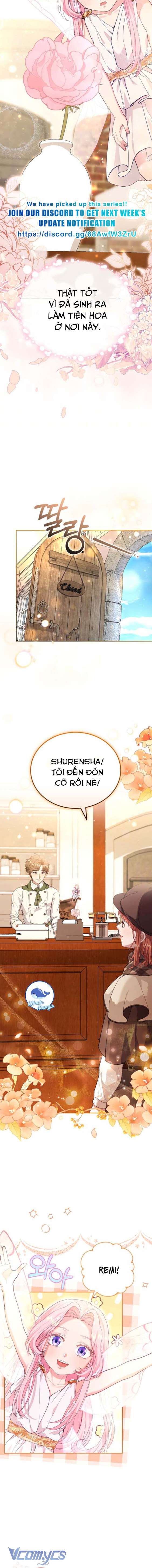 Nàng Tiên, Hãy Ký Hợp Đồng Nào Chapter 15 - Trang 4