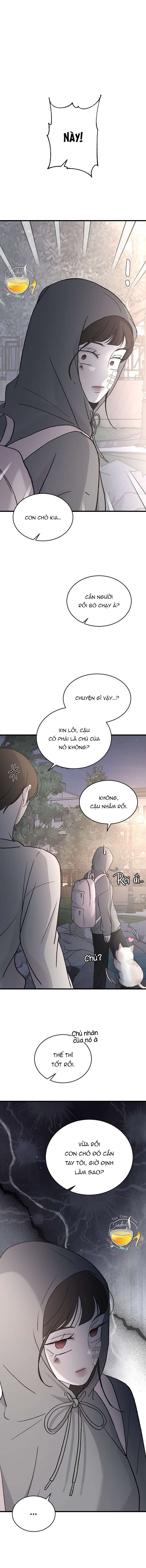 Ba Anh Trai Cực Phẩm Của Tôi Chap 99 - Trang 3