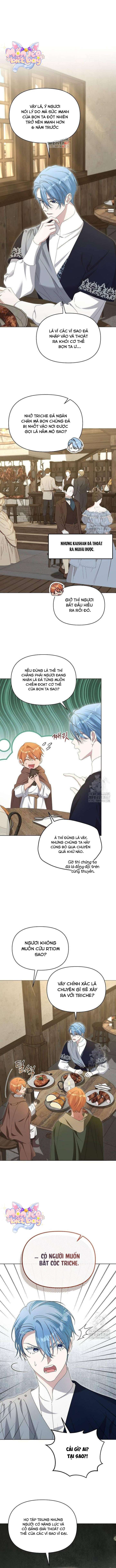 Trở Thành Con Gái Nuôi Của Gia Tộc Sát Thủ Chap 60 - Trang 4