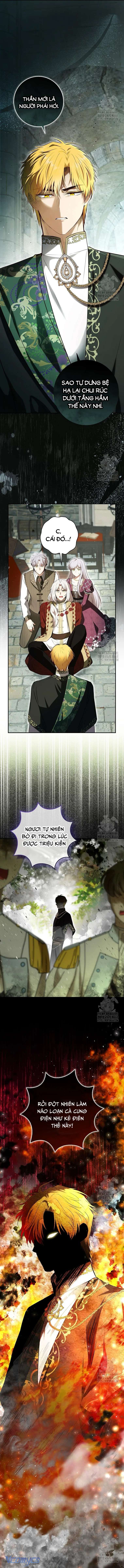 Sóc Con Tài Năng Chap 104 - Trang 2