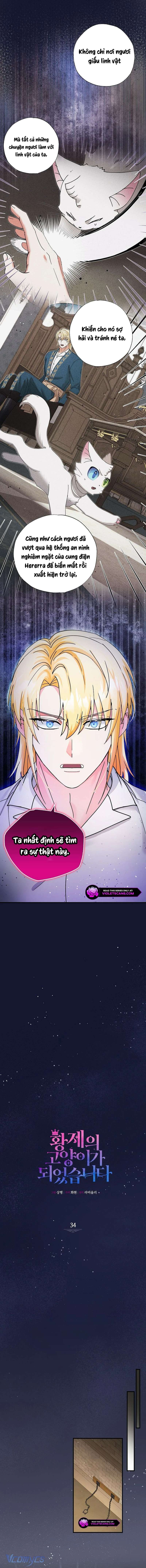 Trở Thành Miêu Nữ Của Hoàng Đế Chap 34 - Trang 4