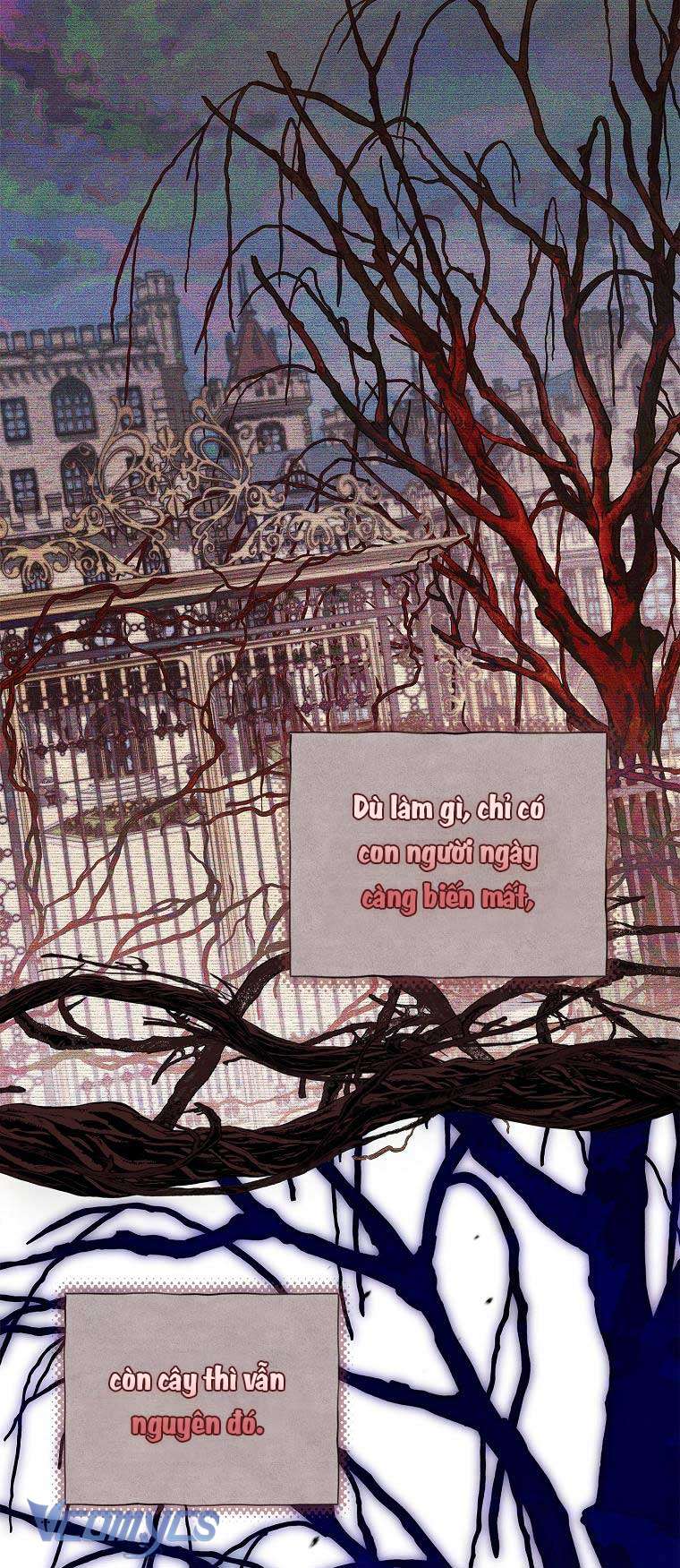 100 lời nguyền tại dinh thự Illestone Chap 1 - Trang 3