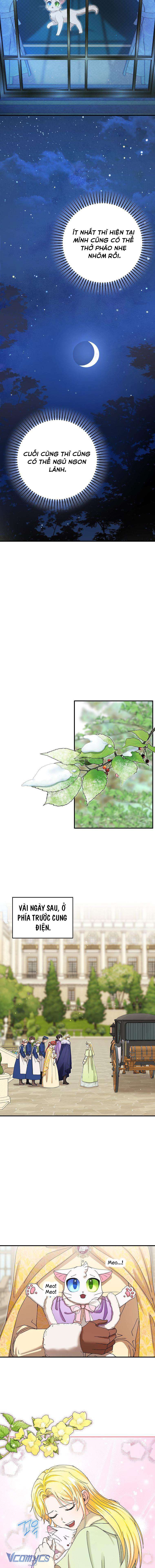 Trở Thành Miêu Nữ Của Hoàng Đế Chapter 12 - Trang 4