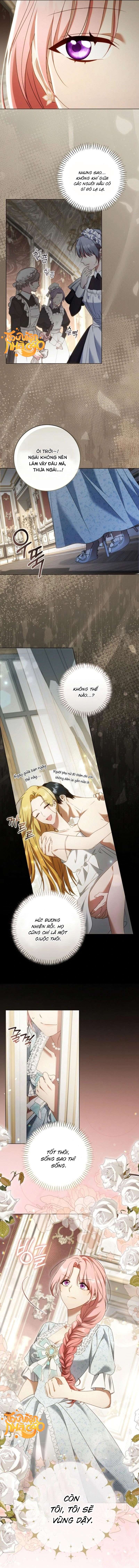 Tôi Bị Giật Chồng Những Hai Lần Chap 2 - Trang 3