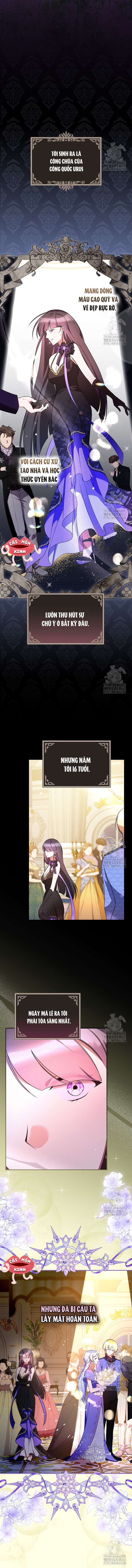 Đi Tìm Nàng Công Chúa Bỏ Trốn Chap 30 - Trang 4