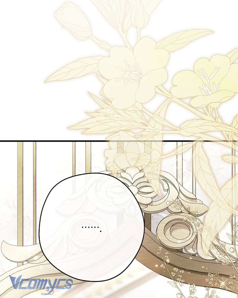 Các Nam Chính Đã Bị Nữ Phụ Cướp Mất Chap 45 - Trang 3