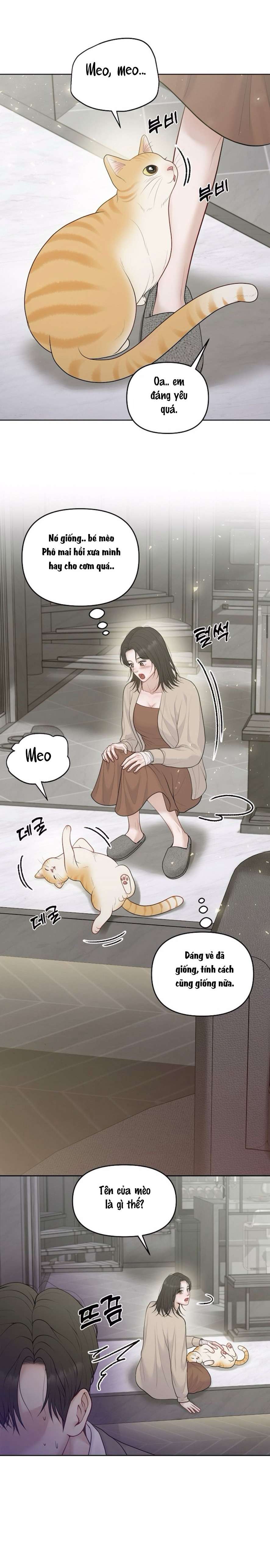 Mang Thai, Chiếm Đoạt Chap 13 - Next Chap 14