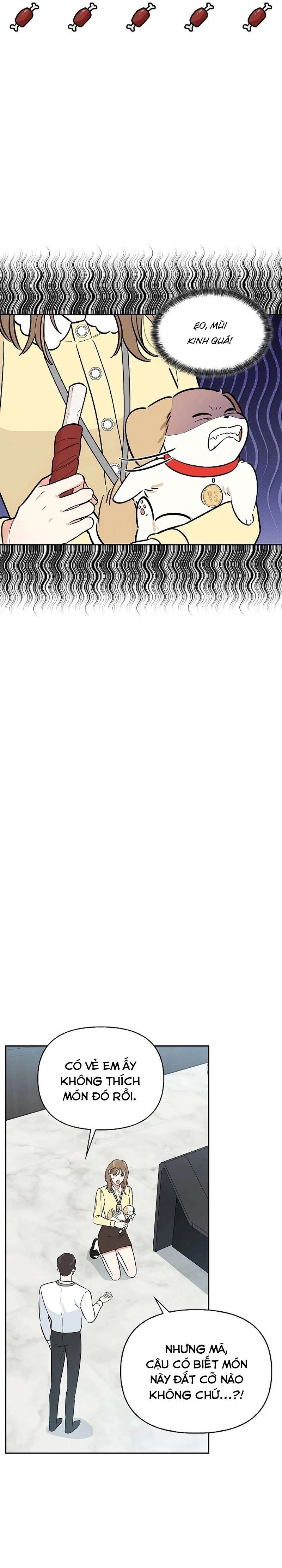 Sếp, Em Sẽ Trở Thành Cún Cưng Của Anh Chap 21 - Trang 2