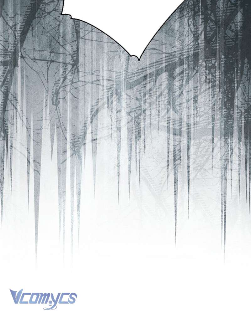 Các Nam Chính Đã Bị Nữ Phụ Cướp Mất Chap 60 - Trang 3