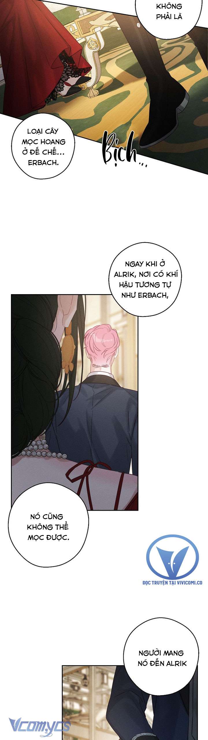 Trước Tiên Phải Giấu Em Trai Cái Đã! Chap 85 - Trang 2