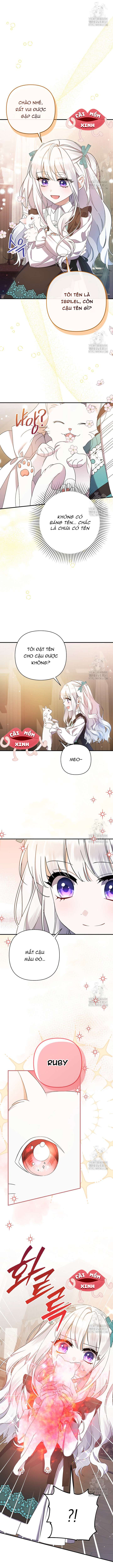 Tôi Chỉ Định Chăm Sóc Người Cha Ốm Yếu Của Mình Thôi Mà Chap 23 - Trang 2