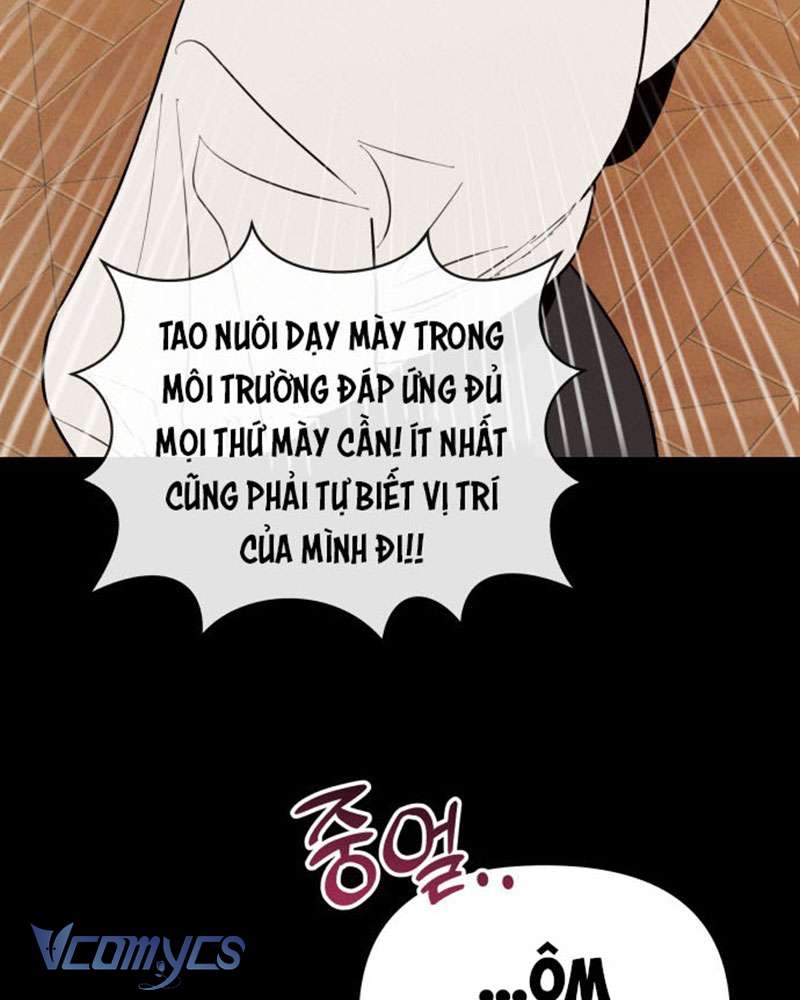 Tối Nay Tôi Là Người Được Cô Ấy Chọn Chap 2 - Trang 3