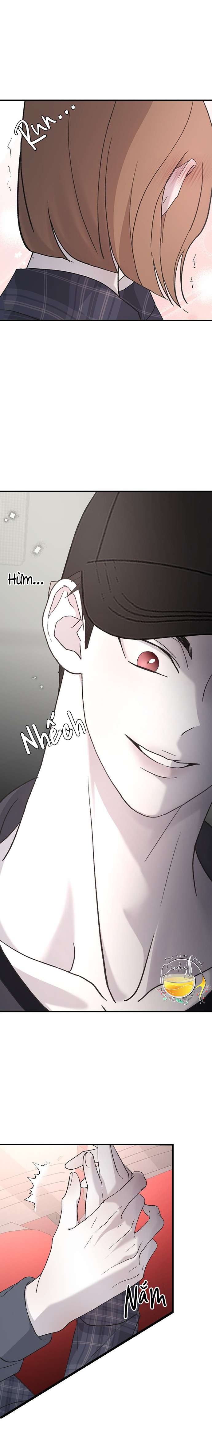 Ba Anh Trai Cực Phẩm Của Tôi Chap 86 - Trang 3