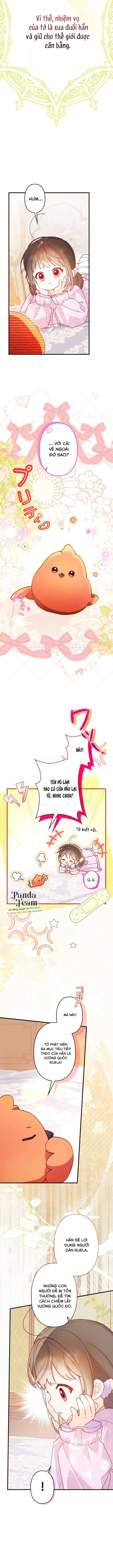 Kiếp Này Em Sẽ Không Sống Dưới Cái Bóng Của Người Chị Song Sinh Chap 25 - Trang 2