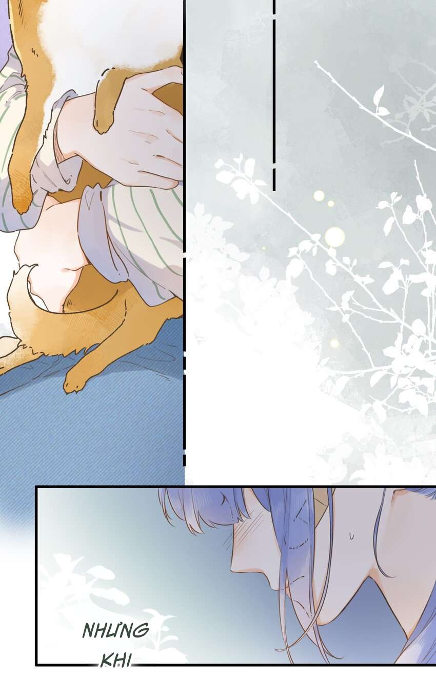 Ánh Sao Phiêu Linh Trong Nước Chap 77 - Trang 4