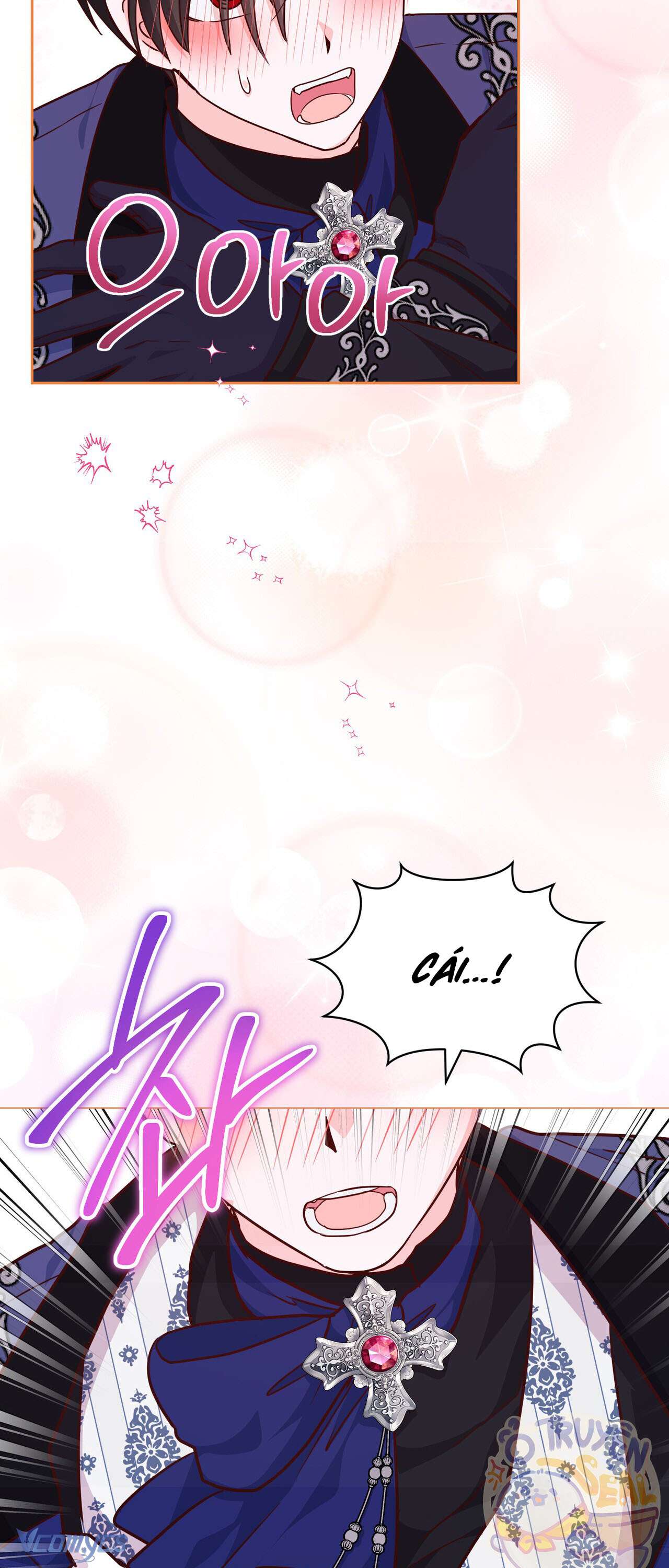 Kết Thúc Viên Mãn Không Cần Tình Yêu Chap 9 - Trang 2