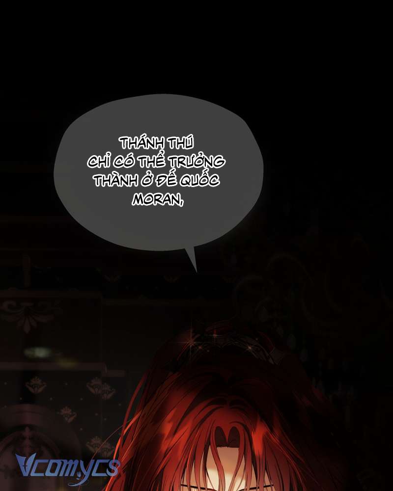 Cô Ấy Sẽ Thuần Hóa Các Anh Hùng Chap 16 - Trang 3