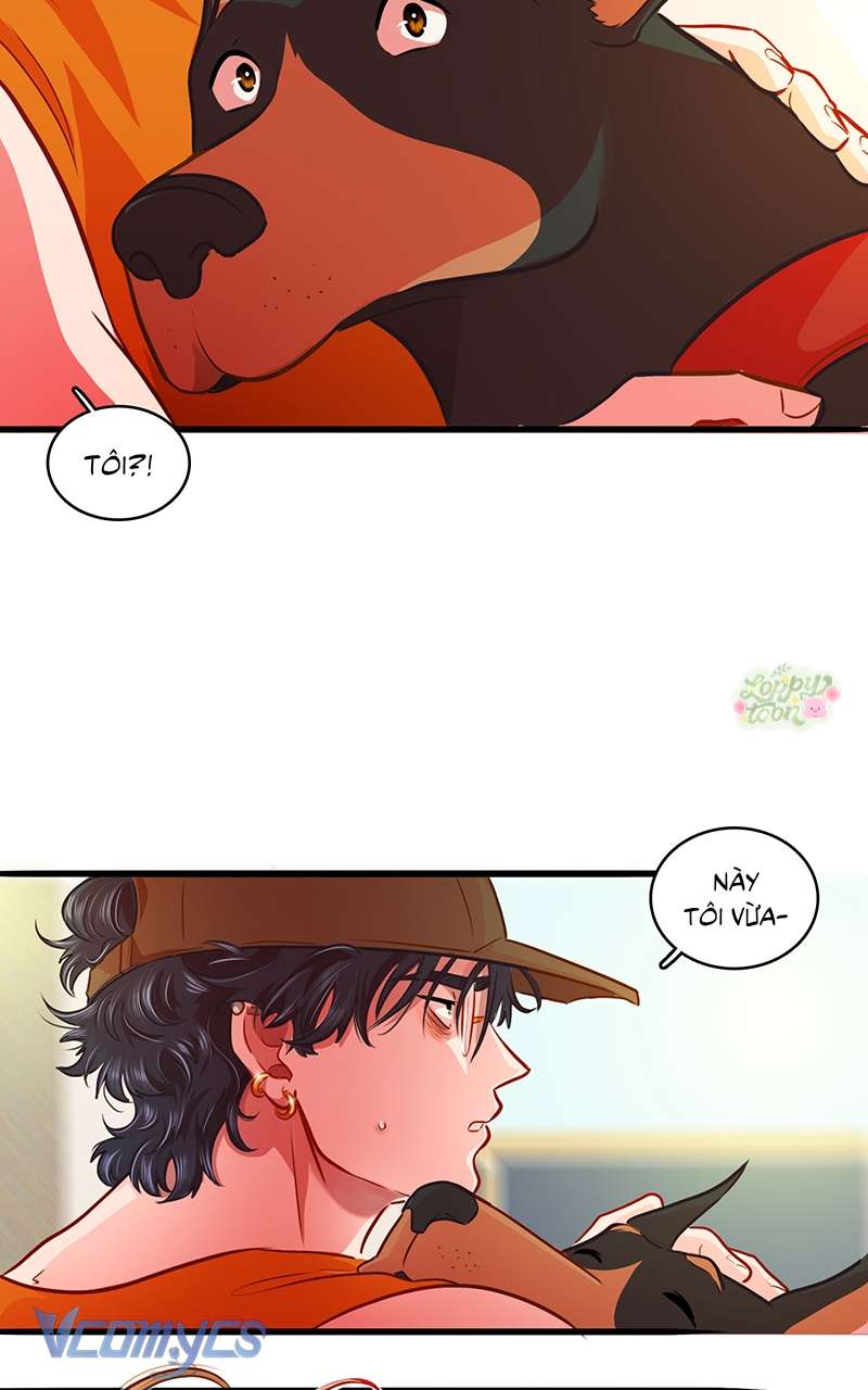 Chú Cún Dạo Bước Cùng Anh Chap 9 - Trang 2