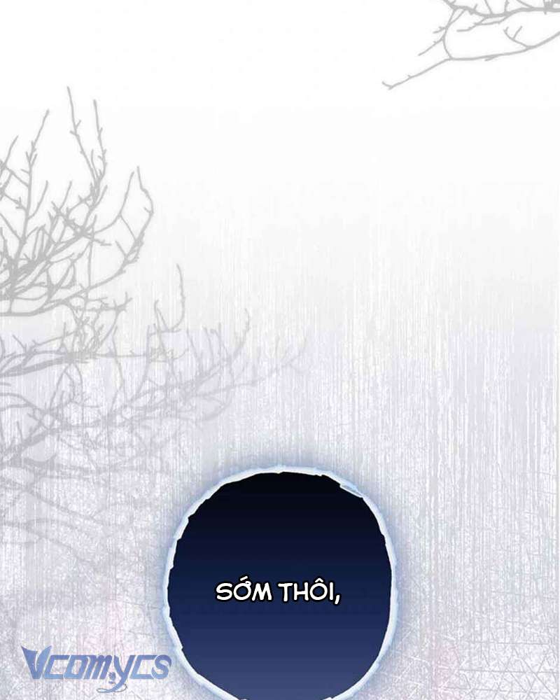 Các Nam Chính Đã Bị Nữ Phụ Cướp Mất Chap 40 - Trang 3