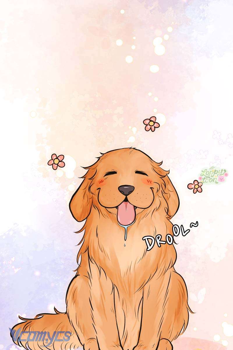 Golden Hour Chap 3 - Trang 2