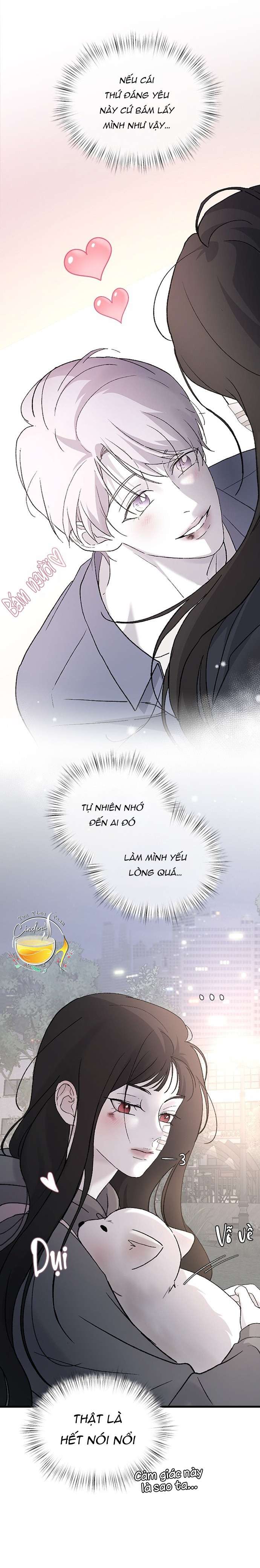 Ba Anh Trai Cực Phẩm Của Tôi Chap 99 - Trang 3