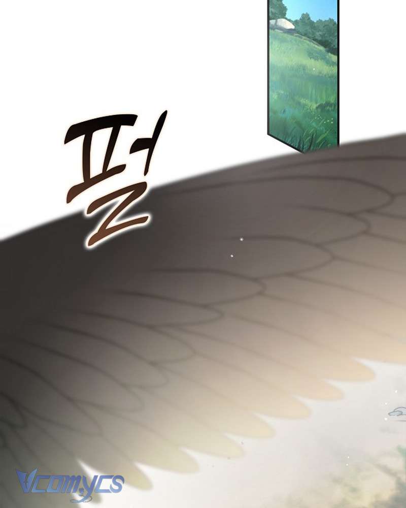 Các Nam Chính Đã Bị Nữ Phụ Cướp Mất Chap 60 - Trang 3