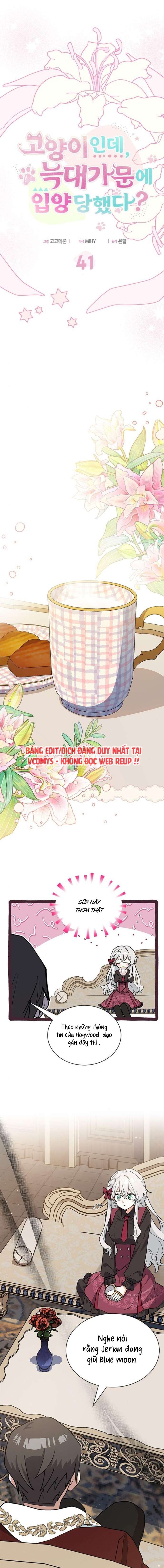 Mèo con được gia tộc sói nhận nuôi? Chap 41 - Trang 2