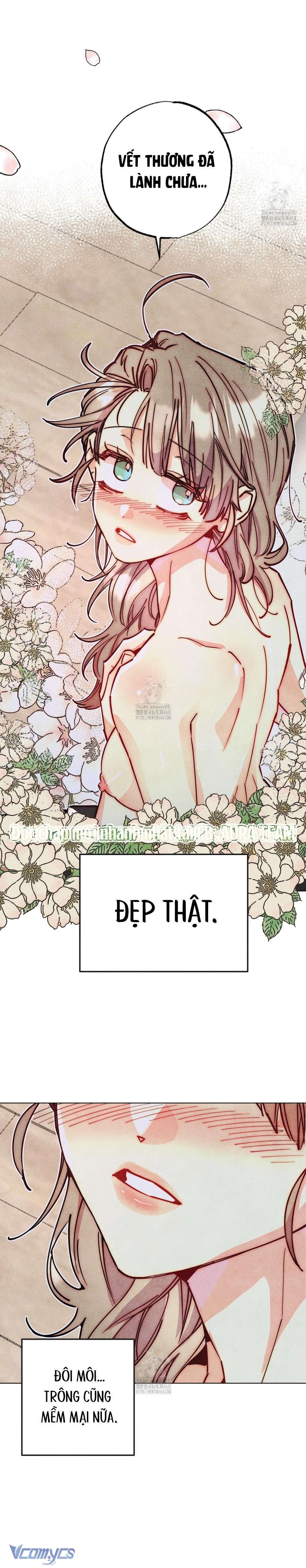 Thu Thập Đêm Đầu Tiên Của Các Nam Chính Chap 45 - Trang 3