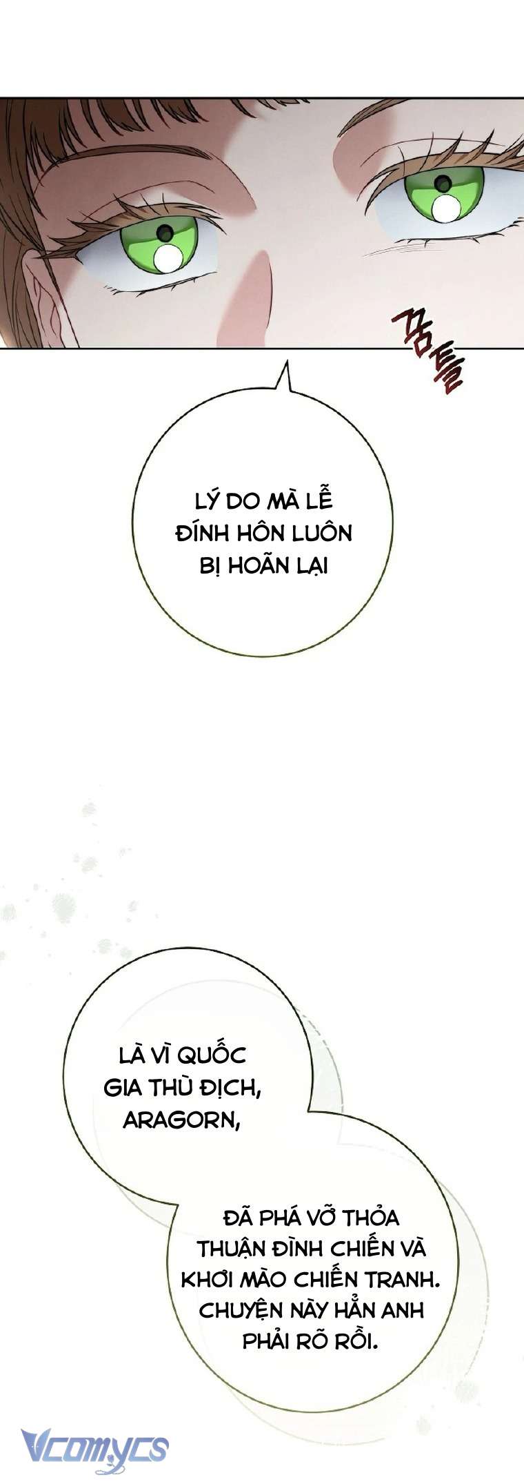 Hôn Nhân Vụ Lợi 2: Bản Tình Ca Không Thể Quên Chapter 10 - Trang 3