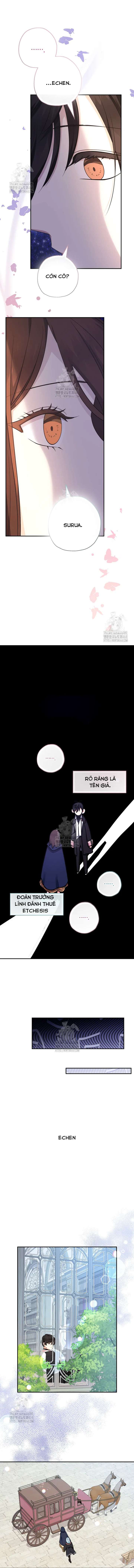 [PNT] Tiểu Thư Tích Tiền Đi Bụi Chap 95 - Trang 2