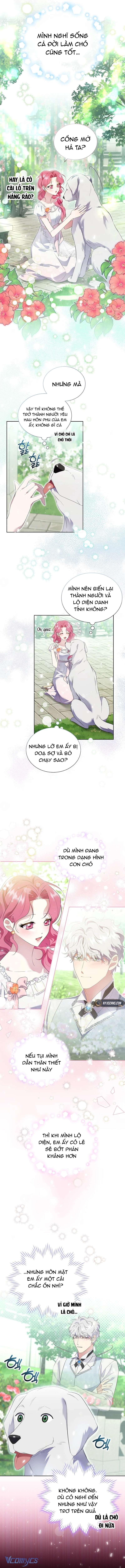 Sa Vào Vòng Tay Của Nam Chính Dịu Dàng Nhưng Chiếm Hữu Chap 14 - Trang 4