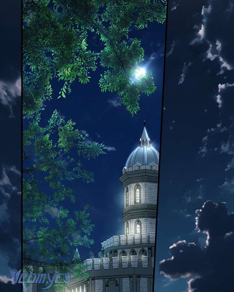 Các Nam Chính Đã Bị Nữ Phụ Cướp Mất Chap 51 - Trang 3