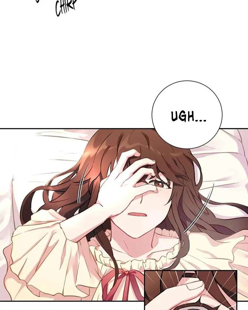 Cô Chủ Và Người Hầu Chapter 1 - Trang 3