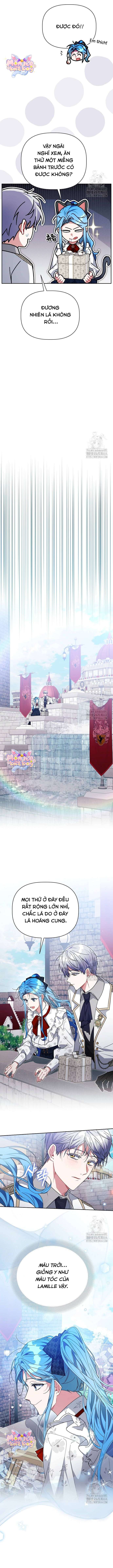 Con Đường Hoa Dành Cho Nam Chính Chap 59 - Next Chap 60