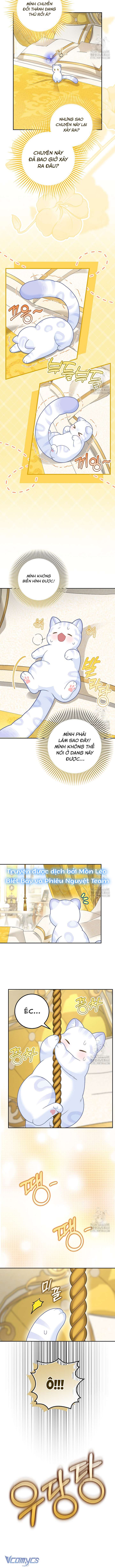 Tiểu Thư Báo Tuyết Của Gia Tộc Báo Đen Chapter 21 - Next Chapter 22