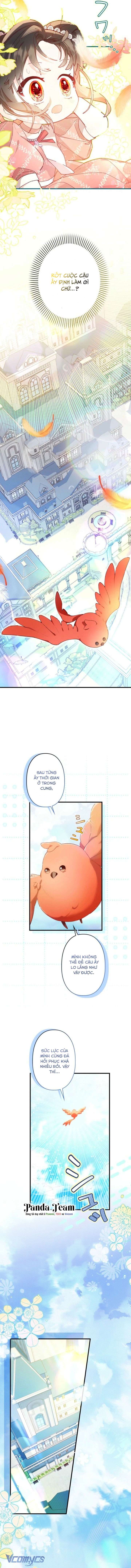 Kiếp Này Em Sẽ Không Sống Dưới Cái Bóng Của Người Chị Song Sinh Chap 12 - Trang 3