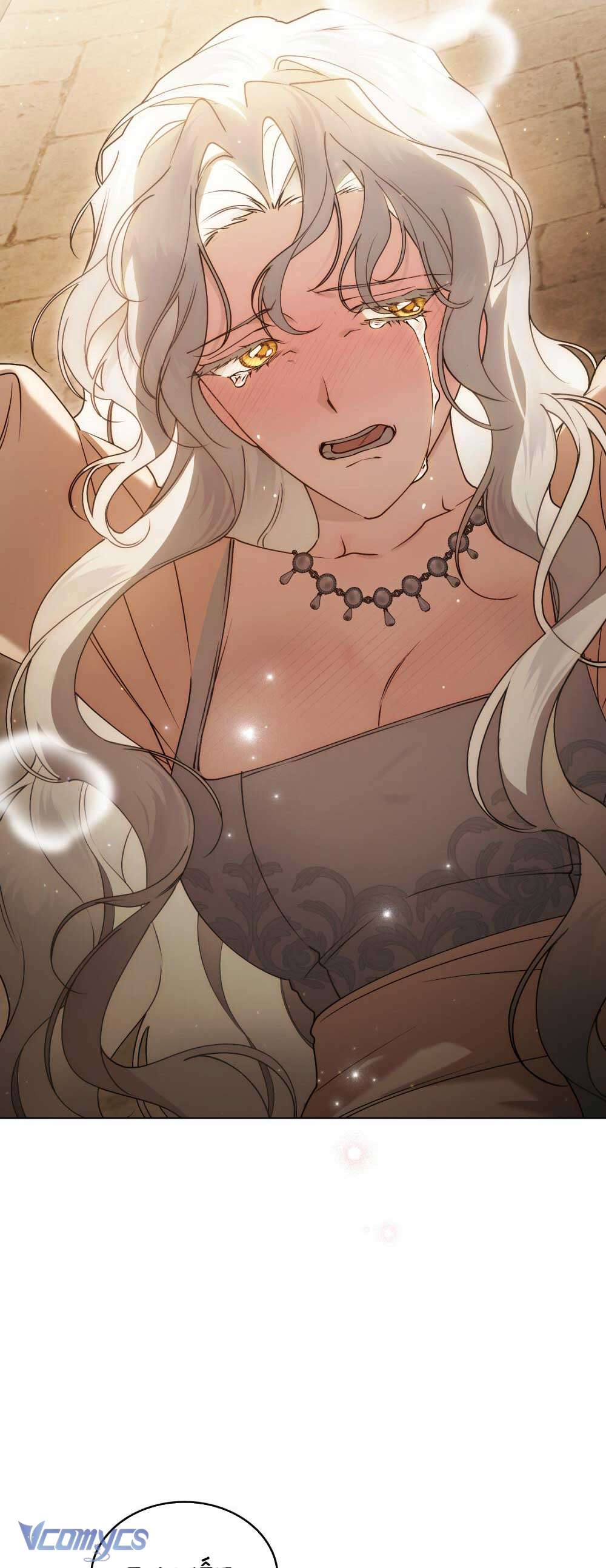 Hôn Nhân Khế Ước Chap 56 - Trang 3