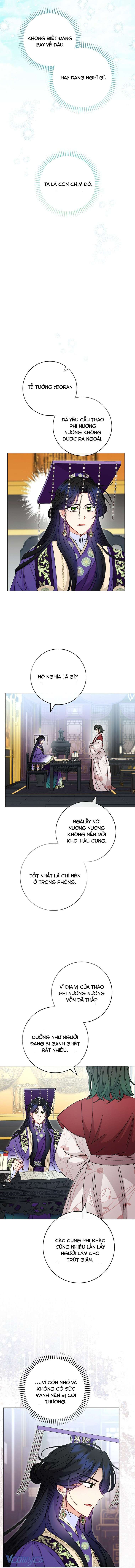 Tiểu Thiếp Chỉ Muốn Sống Yên Bình Chap 116 - Trang 4
