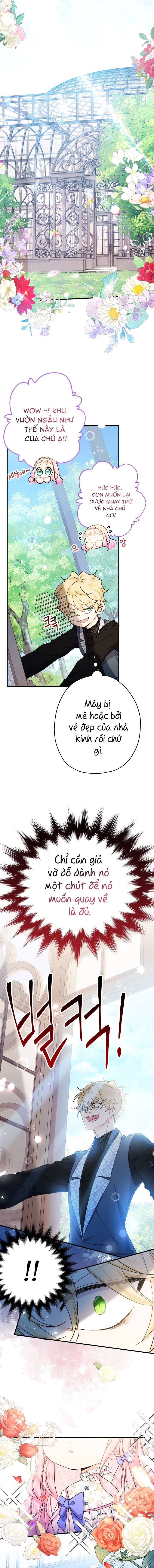 [PNT] Tiểu Thư Tích Tiền Đi Bụi Chap 22 - Trang 2