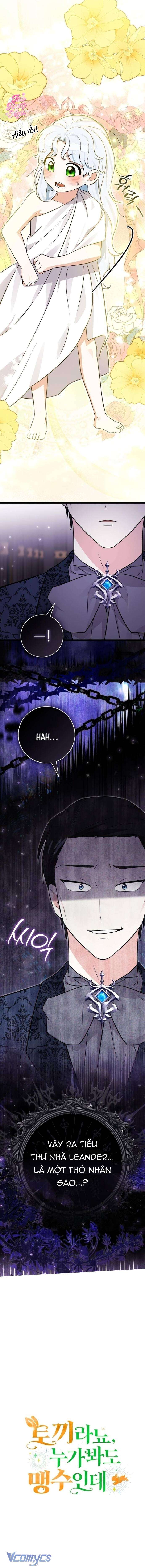 Thỏ Á? Rõ Ràng Là Mãnh Thú Cơ Mà! Chap 18 - Trang 3