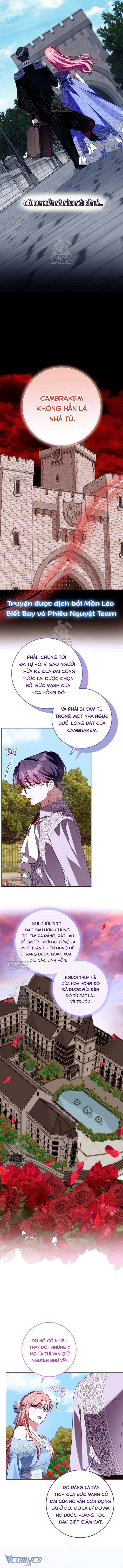 Tôi Gặp Nam Chính Trong Tù Chap 75 - Trang 2