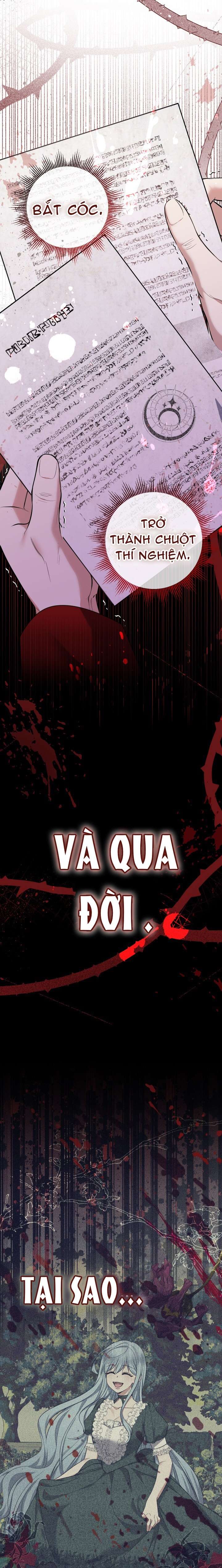 [PNT] Tiểu Thư Tích Tiền Đi Bụi Chap 53 - Next Chap 54