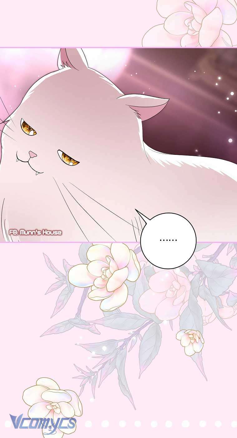 Này Boss Phản Diện, Tôi Có Thể Làm Mọi Thứ Trừ Cưới Ngài Chap 36 - Trang 4