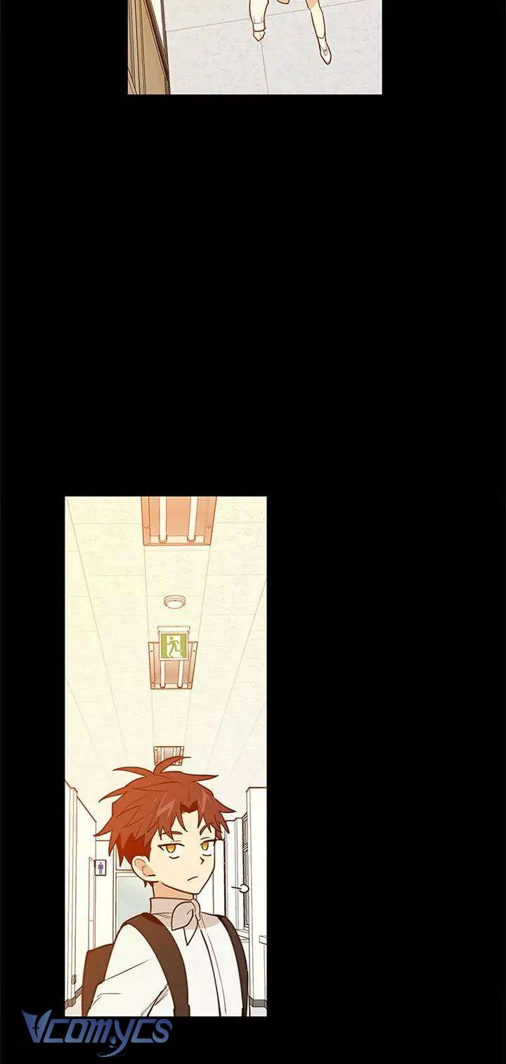 Điều Ước Sao Băng Chapter 43 - Trang 4